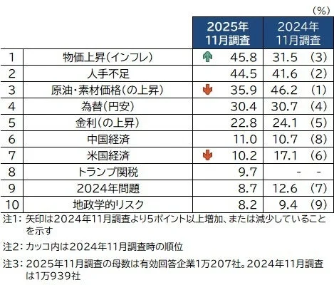 企業が抱える経済リスクに関する2025年11月と2024年11月の調査結果。物価上昇(インフレ)が2025年最大の懸念事項で、人手不足や原油価格上昇など上位10項目とその変化が示されている。