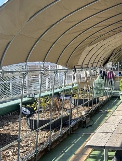 日よけのある栽培エリア